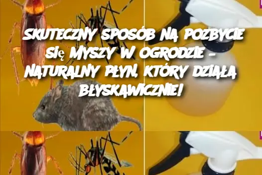 Skuteczny sposób na pozbycie się myszy w ogrodzie – naturalny płyn, który działa błyskawicznie!