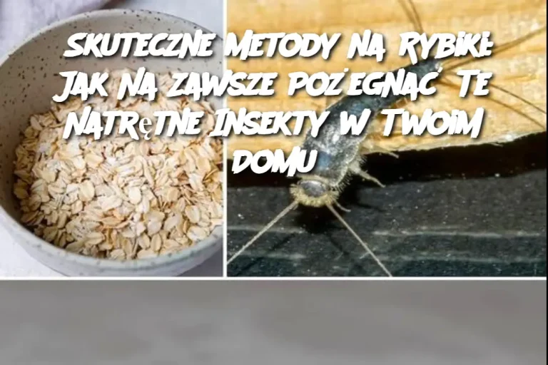 Skuteczne Metody na Rybiki: Jak Na Zawsze Pożegnać Te Natrętne Insekty w Twoim Domu